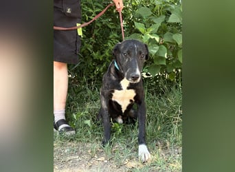 Lennon sucht nach einem Freund