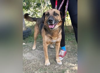 Gunvald möchte endlich dazugehören