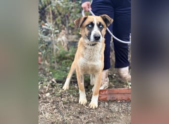 Shirley träumt von einem Zuhause