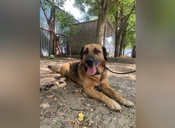 Gunvald möchte endlich dazugehören