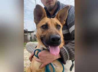 Eda sucht Abenteuer-Buddy