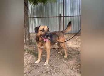 Gunvald möchte endlich dazugehören