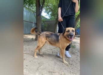 Gunvald möchte endlich dazugehören