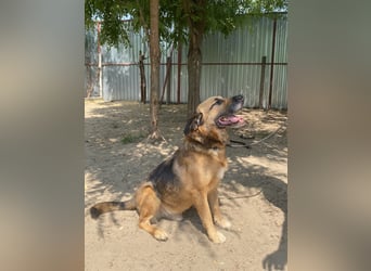 Gunvald möchte endlich dazugehören