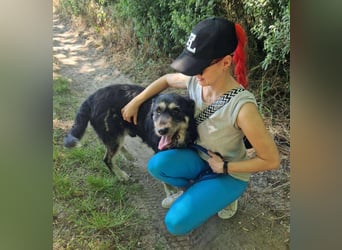 Hermiusz - möchte so gern sein Herz verschenken