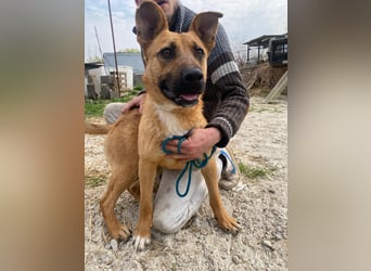 Eda sucht Abenteuer-Buddy