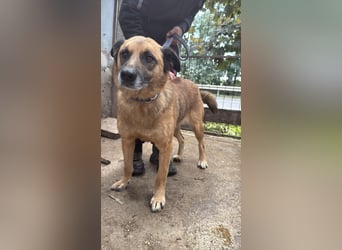 Amigó sucht einen Spielpartner