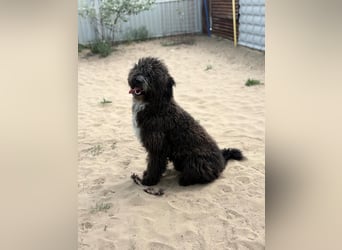 Cézi wartet auf den ersten Schritt