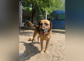 Gunvald möchte endlich dazugehören