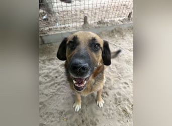 Gunvald möchte endlich dazugehören