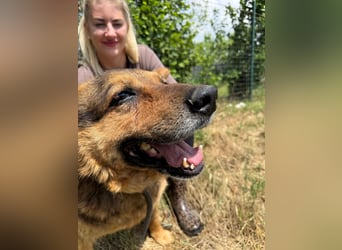 Charlie – unser Sonnenschein