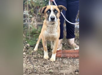 Shirley träumt von einem Zuhause