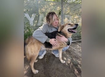 Jago hat ein großes Herz