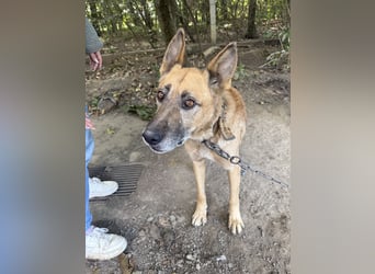 Kannst du Füles eine Chance geben?