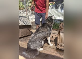 Hanna sucht Liebe und Geborgenheit