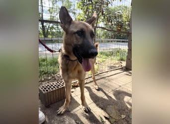 Missy- Genau dich suche ich !