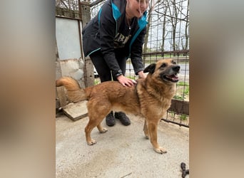 Amigó sucht einen Spielpartner