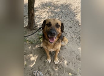 Gunvald möchte endlich dazugehören