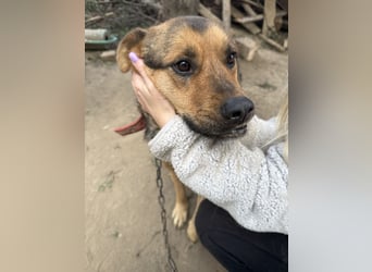 Berci - Ich habe nur einen Wunsch ! Eine Familie