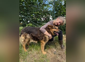 Charlie – unser Sonnenschein