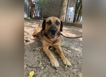 Gunvald möchte endlich dazugehören