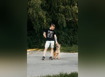 Tolle Larissa sucht liebevolles Zuhause