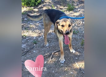Samira hofft auf ihr Für-immer-Zuhause