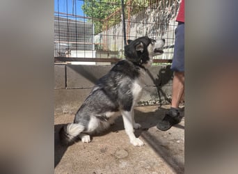 Hanna sucht Liebe und Geborgenheit