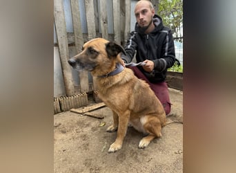 Amigó sucht einen Spielpartner