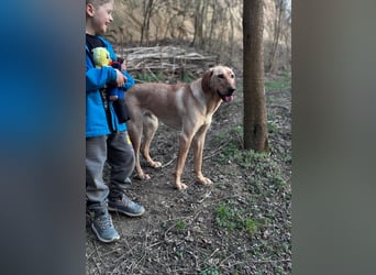 Charlotte sucht ein zu Hause
