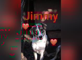 Jimmy möchte Rumänien ganz schnell verlassen