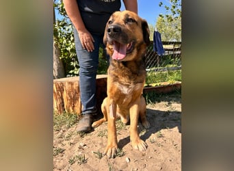 Gunvald möchte endlich dazugehören