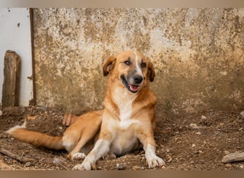 Gioz- ein Auge aber trotzdem voller Liebe