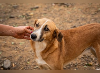 Gioz- ein Auge aber trotzdem voller Liebe