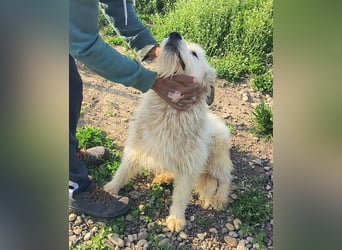 VIATA heißt Leben...