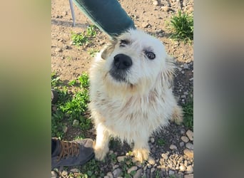 VIATA heißt Leben...