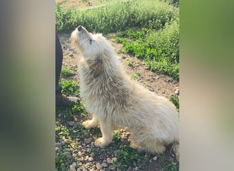 VIATA heißt Leben...