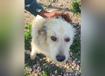 VIATA heißt Leben...