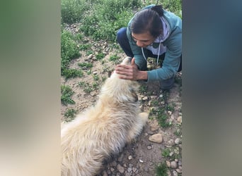 VIATA heißt Leben...