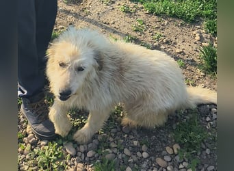 VIATA heißt Leben...