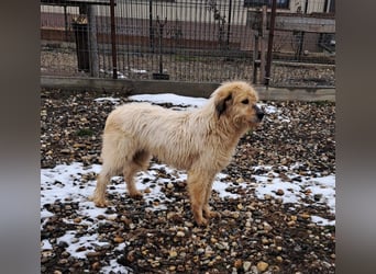 VIATA heißt Leben...