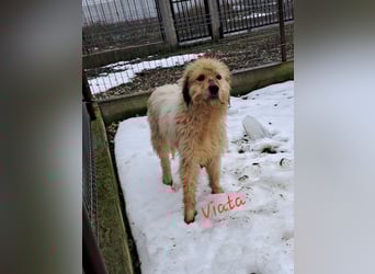 VIATA heißt Leben...