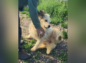 VIATA heißt Leben...