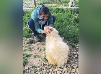 VIATA heißt Leben...