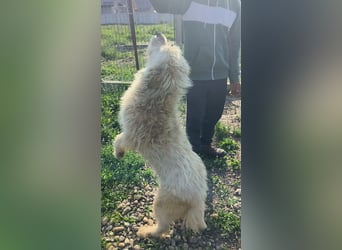 VIATA heißt Leben...