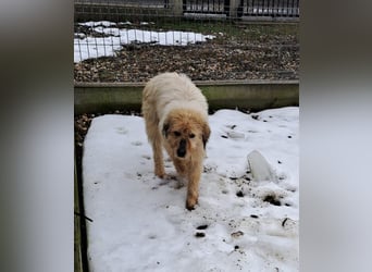 VIATA heißt Leben...