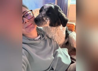 CALIN sucht seine Menschen