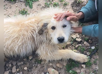 VIATA heißt Leben...