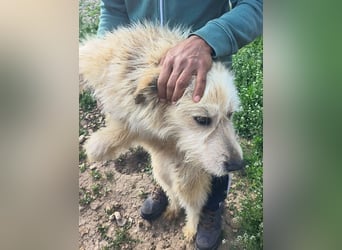 VIATA heißt Leben...