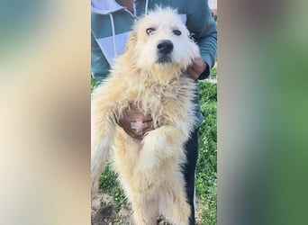 VIATA heißt Leben...